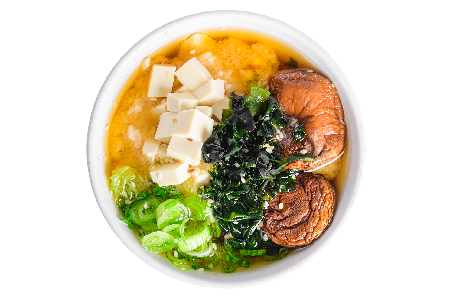 SOPA MISO